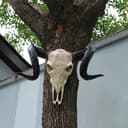 Product carousel Indicator