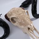 Product carousel Indicator