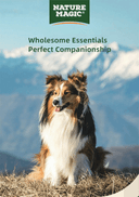 Product carousel Indicator