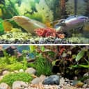 Product carousel Indicator